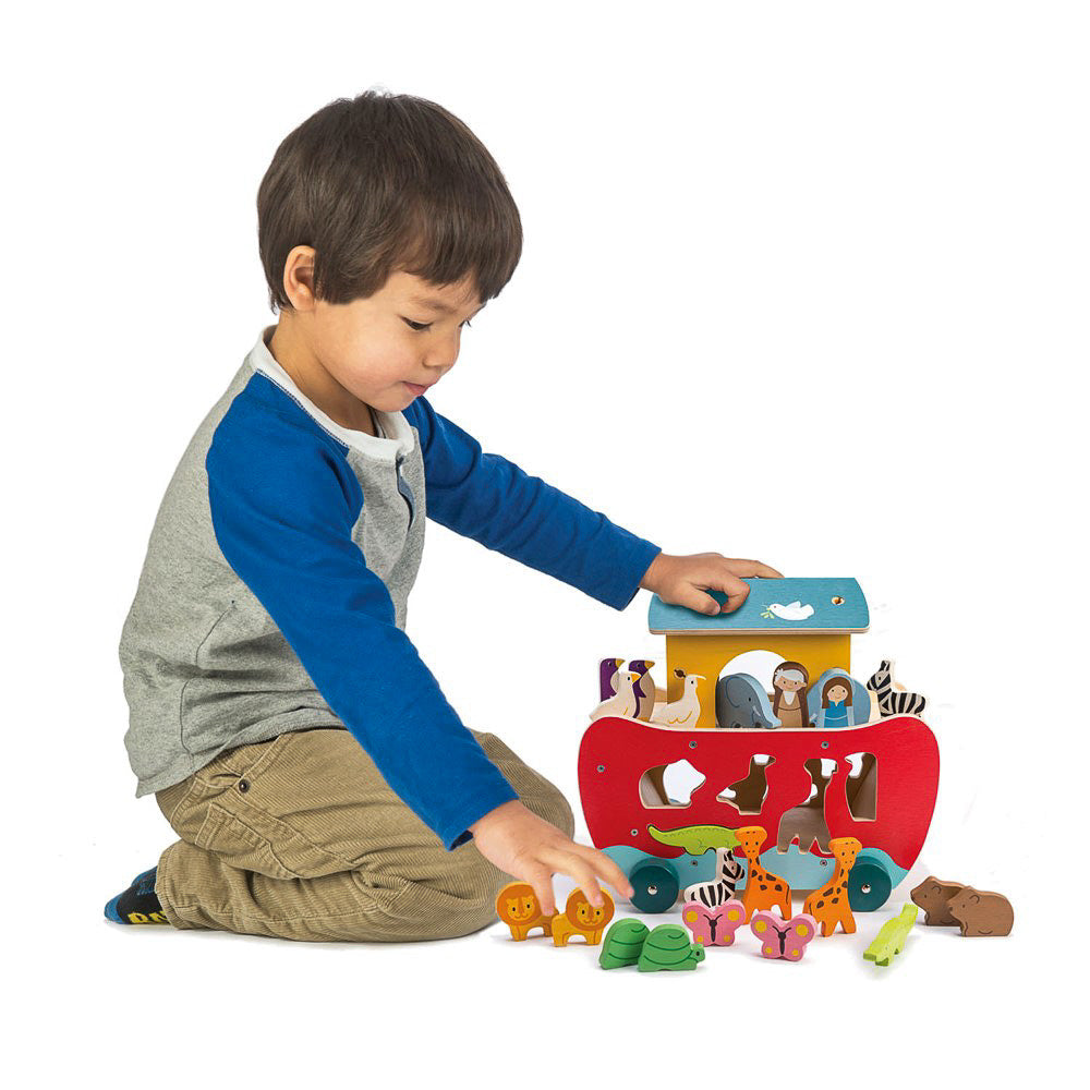 Noah's Ark Wooden Shape Sorter